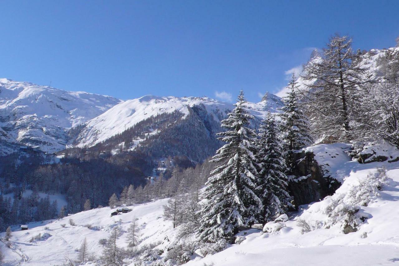 Casa Raposa Lejlighed Zermatt Eksteriør billede